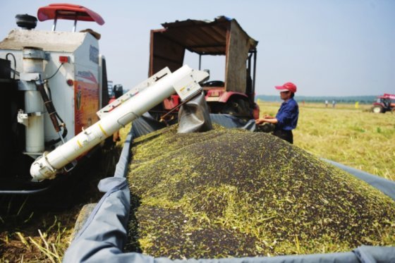 为什么微生物肥料是土壤污染的克星？
