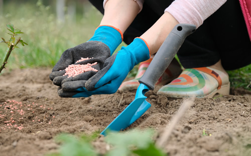 化肥厂家对农业的作用