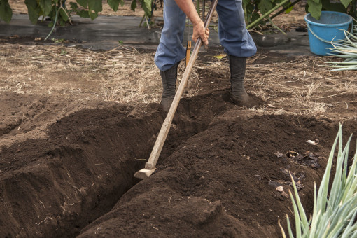​关于化肥的用途，化肥厂家为我们介绍