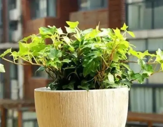 连雨天气化肥保存方式